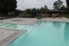 Grand gîte avec piscine MAISON PORT VALADE